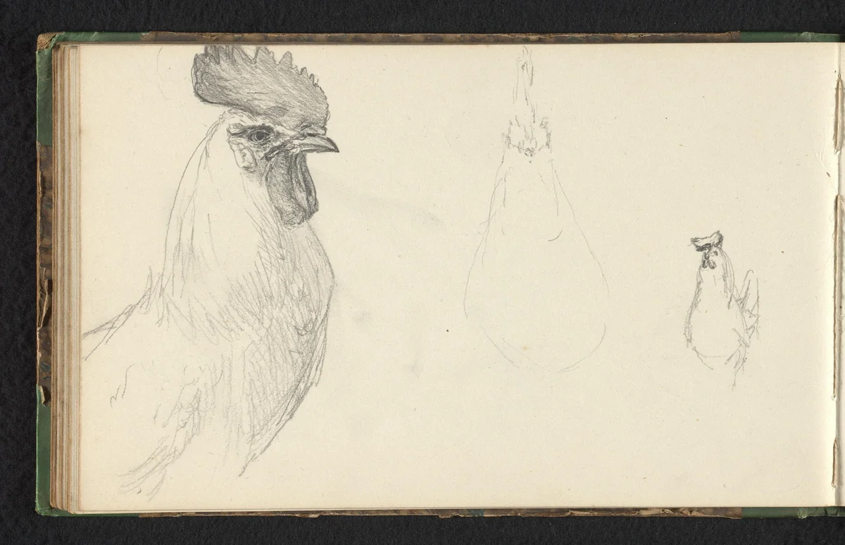 Drie kippen by Jan Bedijs Tom, drawing, 1823-1894