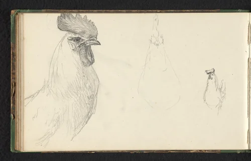 Drie kippen by Jan Bedijs Tom, drawing, 1823-1894