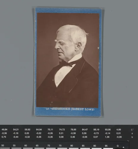 Reclame voor stoffen van McIlroy Bros. met een portret van Robert Lowe by anonymous, photograph, 1865-1900