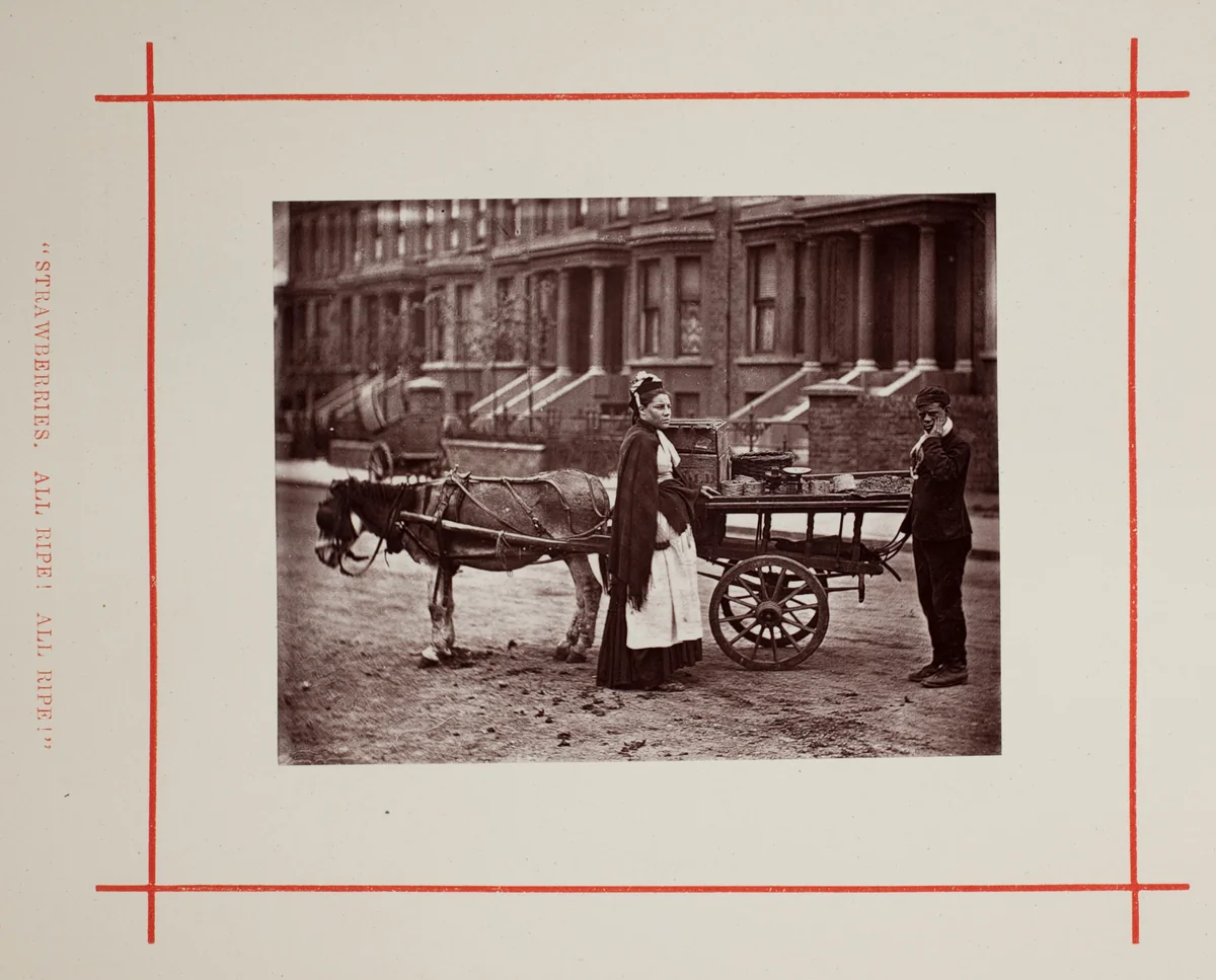"Strawberries. All ripe! All ripe!" by John Thomson, photograph, 1877