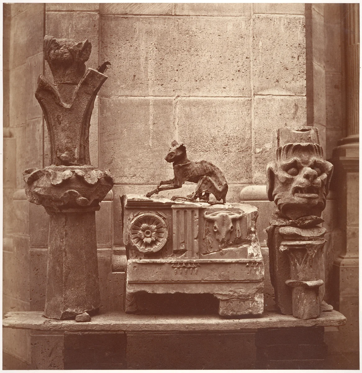 Le Chat Momifié (trouvé dans les fouilles de Saint-Germain-en-Laye) by Charles Marville, photograph, 1860-1864