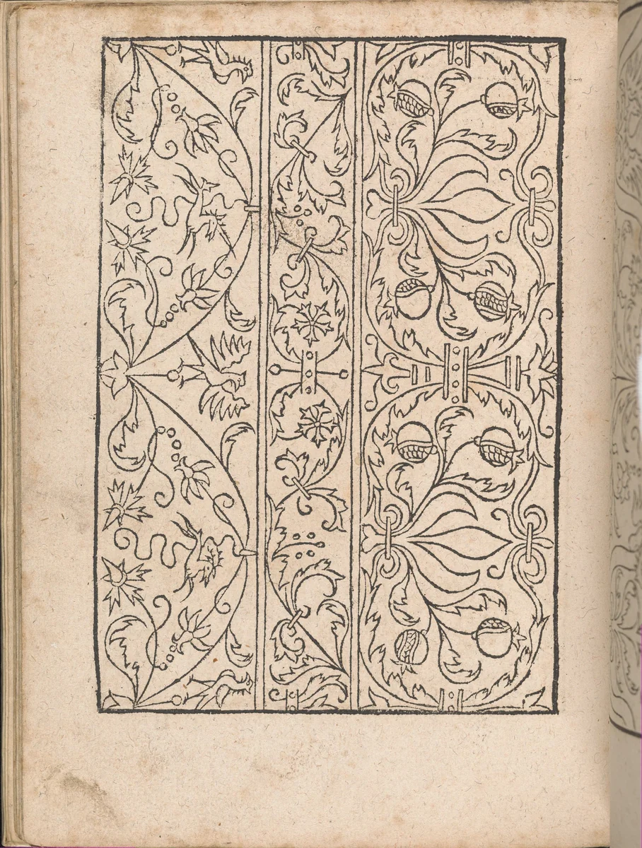 New Modelbüch allen Nägerin u. Sydenstickern (Page 17v) by Hans Hoffman, book, 1556
