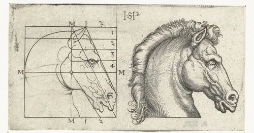 Paardenhoofd en tekening in schema volgens proportieleer by Unknown, print, 1510-1550