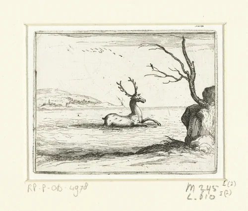 Hert zoekt verkoeling in het water by Jacques Callot, print, 1621-1635