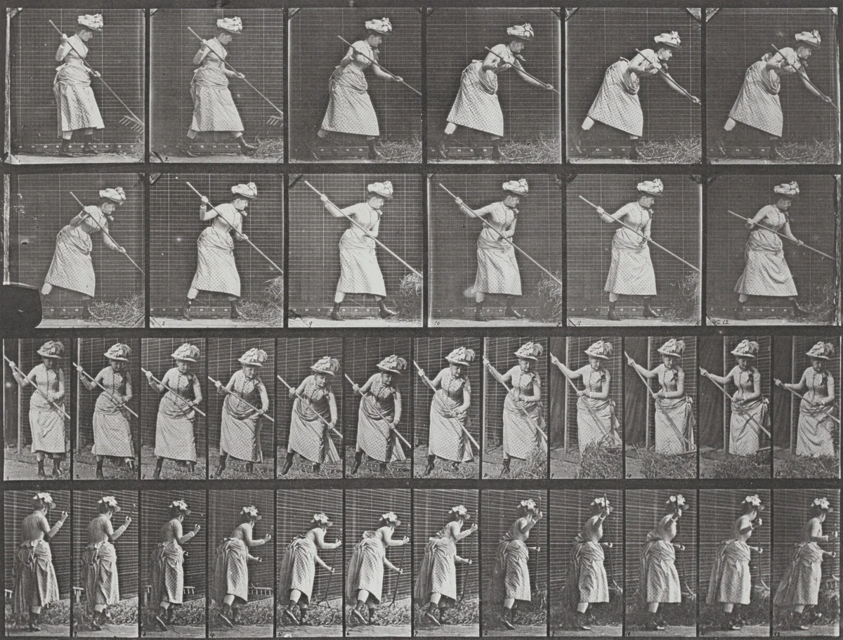 Plate Number 456. Raking hay by Eadweard Muybridge, photograph, 1887