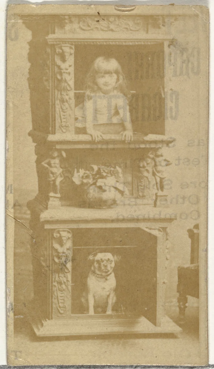 [Child and dog posing in fireplace], from the Actors and Actresses series (N145-8) issued by Duke Sons & Co. to promote Duke Cigarettes by W. Duke, Sons & Co., photograph, 1890-1895
