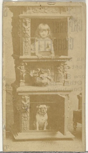 [Child and dog posing in fireplace], from the Actors and Actresses series (N145-8) issued by Duke Sons & Co. to promote Duke Cigarettes by W. Duke, Sons & Co., photograph, 1890-1895