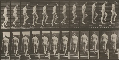 Plate Number 89. Ascending stairs by Eadweard Muybridge, photograph, 1887