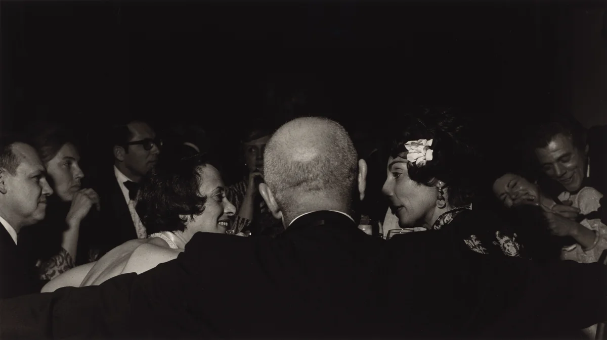 Allentown Museum, Pennsylvania by Larry Fink, photograph, 1975