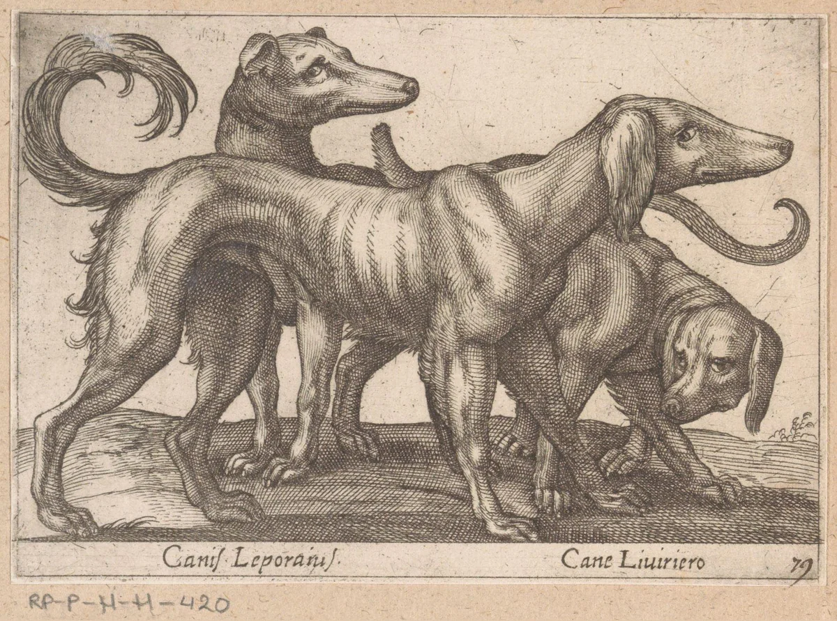 Drie honden by Antonio Tempesta, print, 1565-1630
