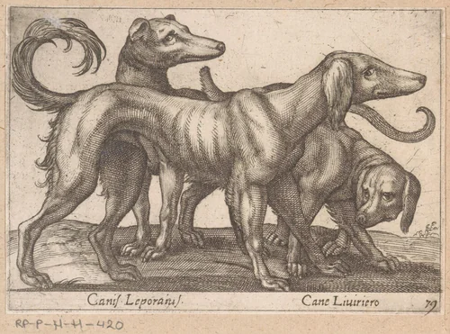 Drie honden by Antonio Tempesta, print, 1565-1630