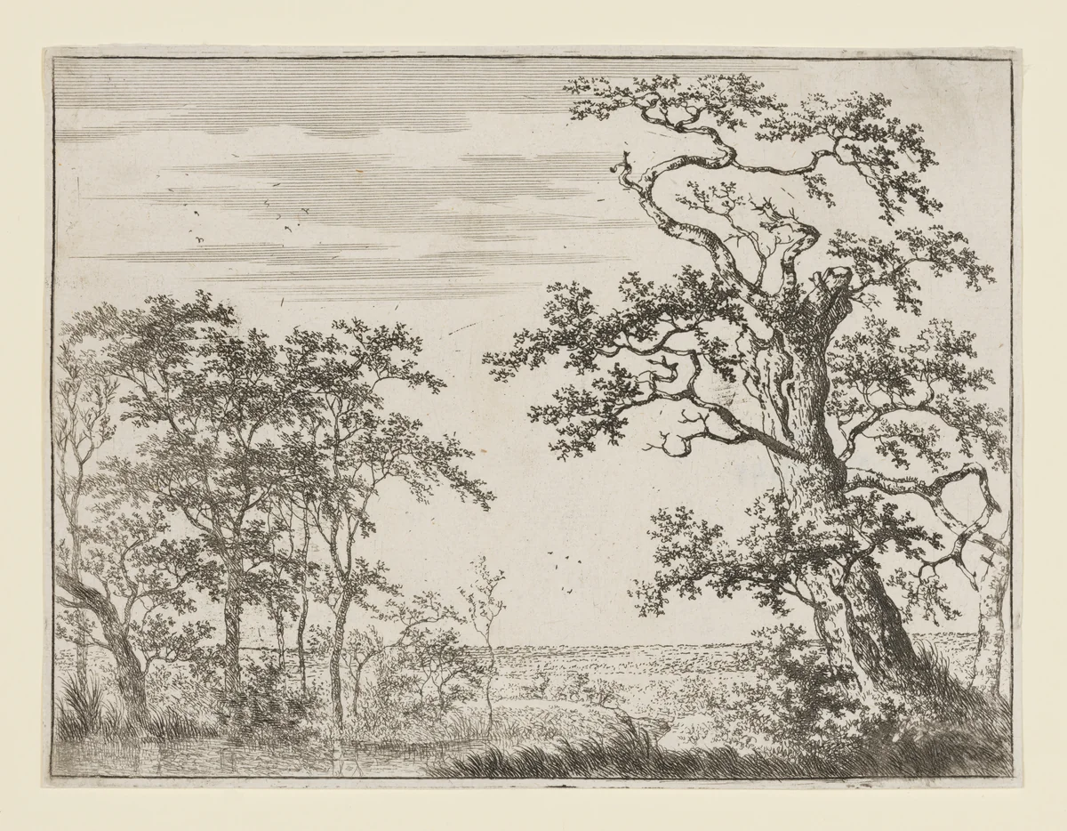 Landscape with Stream by Adriaen Hendriksz. Verboom, print, 1650-1670