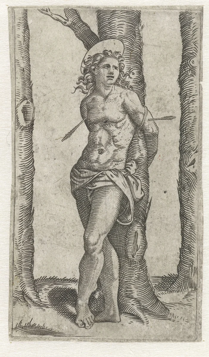 Heilige Sebastiaan vastgebonden aan boom met pijlen in lichaam by anonymous, print, 1500-1575