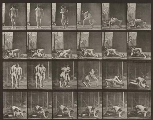 Plate Number 346. Wrestling, lock by Eadweard Muybridge, photograph, 1887