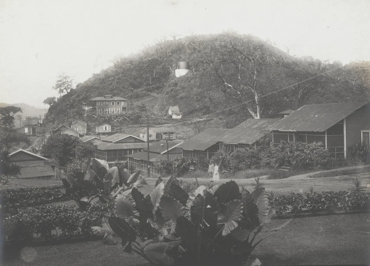 Southern end of village of Culebra, showing old French houses occupied by American families by Unidentified Photographer, photograph, 1910