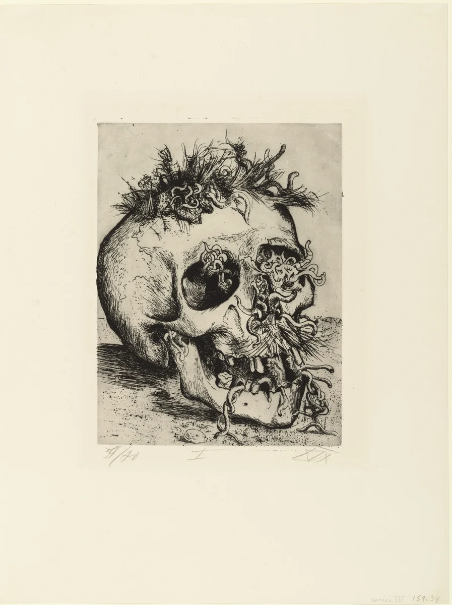 Skull (Schädel) from The War (Der Krieg) by Otto Dix, print, 1924