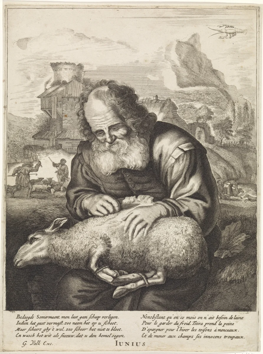 Juni: Een herder scheert een schaap by anonymous, print, 1670-1726