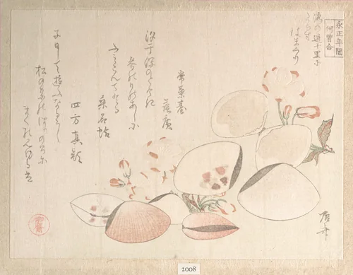 Cherry Blossoms and Shells by Ryūryūkyo Shinsai (柳々居辰斎), print, 1800-1899