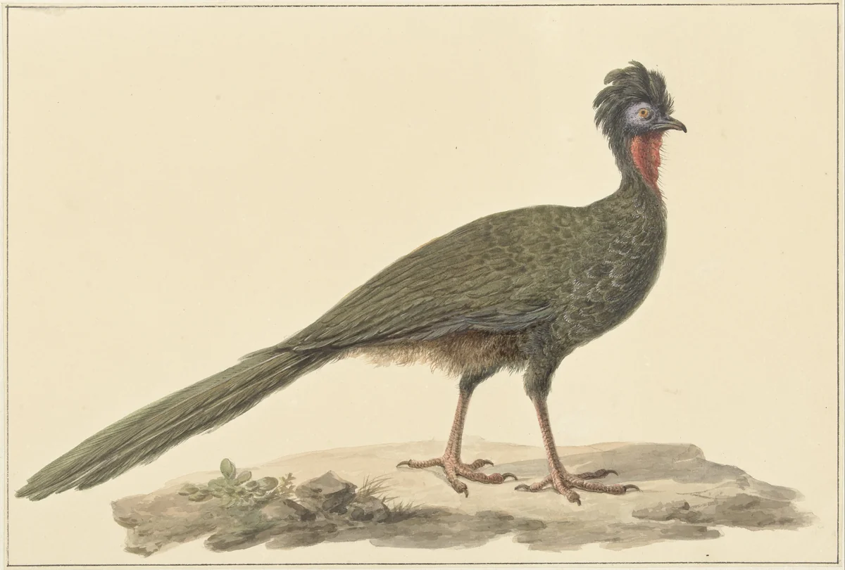 Penelope, op de grond by Pieter Pietersz. Barbiers, drawing, 1759-1842