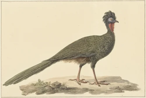 Penelope, op de grond by Pieter Pietersz. Barbiers, drawing, 1759-1842