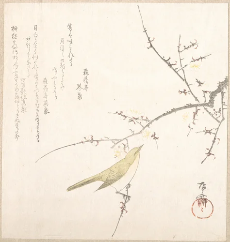 New Moon; Nightingale on a Plum Branch by Ryūryūkyo Shinsai (柳々居辰斎), print, 1800-1899
