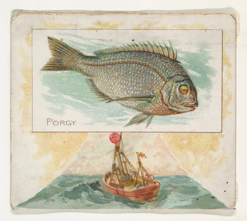Porgy, from Fish from American Waters series (N39) for Allen & Ginter Cigarettes by Allen & Ginter, print, 1889