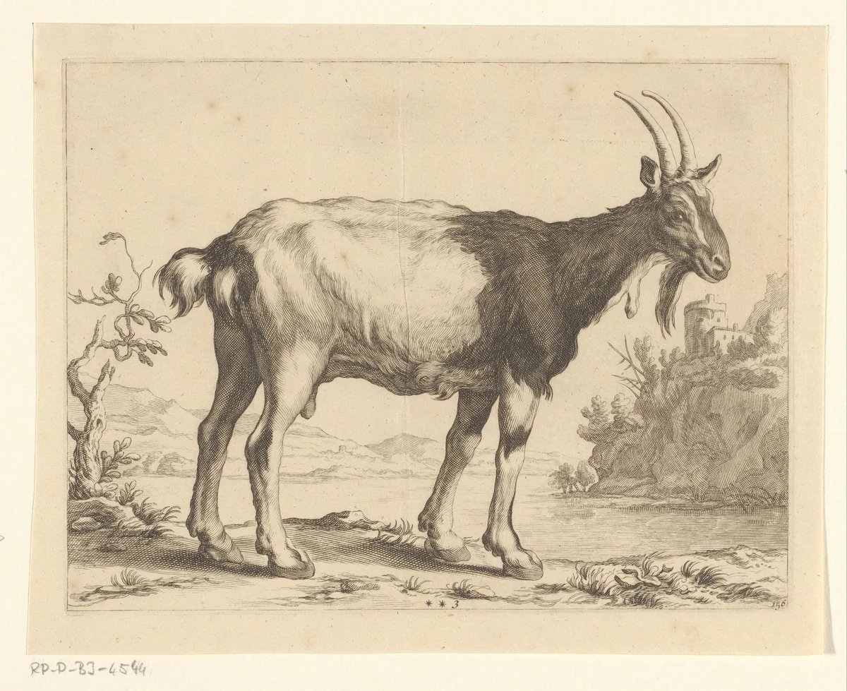 Geit by Frederick Bloemaert, print, 1679-1700