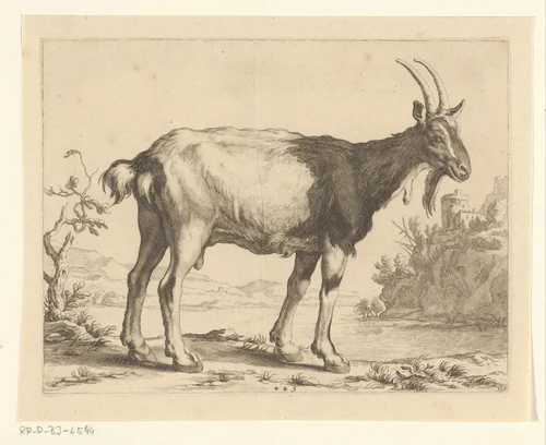 Geit by Frederick Bloemaert, print, 1679-1700