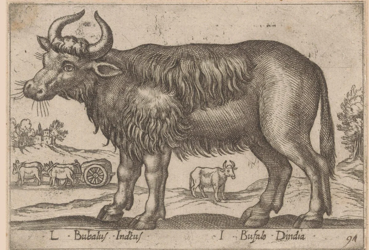 Buffel by Antonio Tempesta, print, 1565-1630