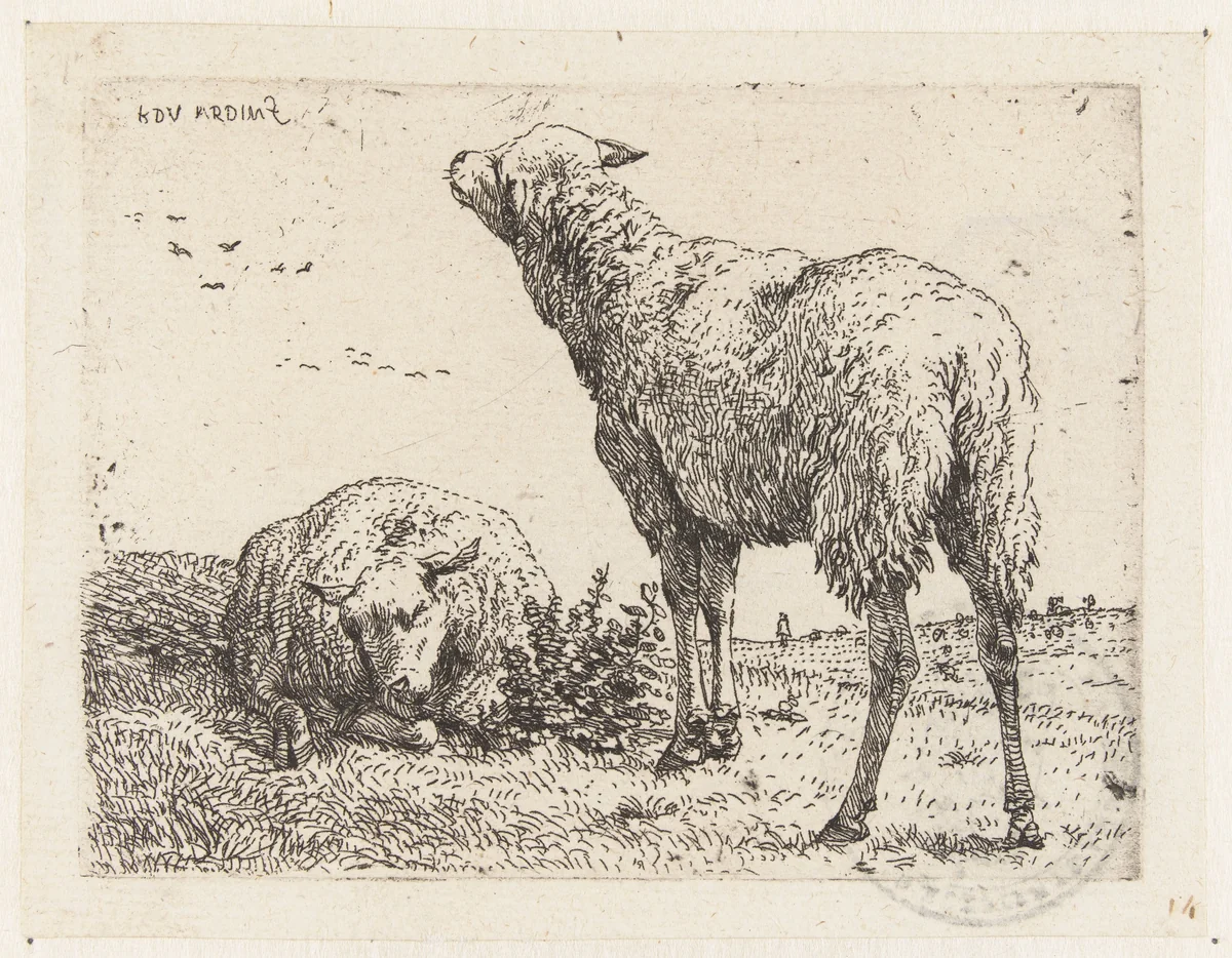 Twee schapen by Karel du Jardin, print, 1652-1659