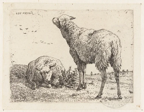 Twee schapen by Karel du Jardin, print, 1652-1659