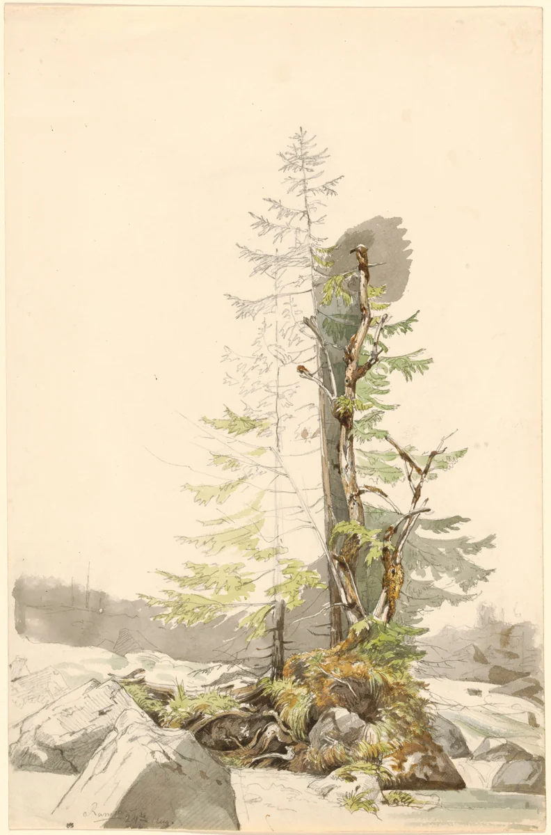 A Clump of Trees by a Rocky Stream in the Ramsau by Carl Morgenstern, drawing, 1832-1833