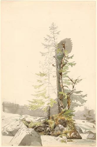 A Clump of Trees by a Rocky Stream in the Ramsau by Carl Morgenstern, drawing, 1832-1833