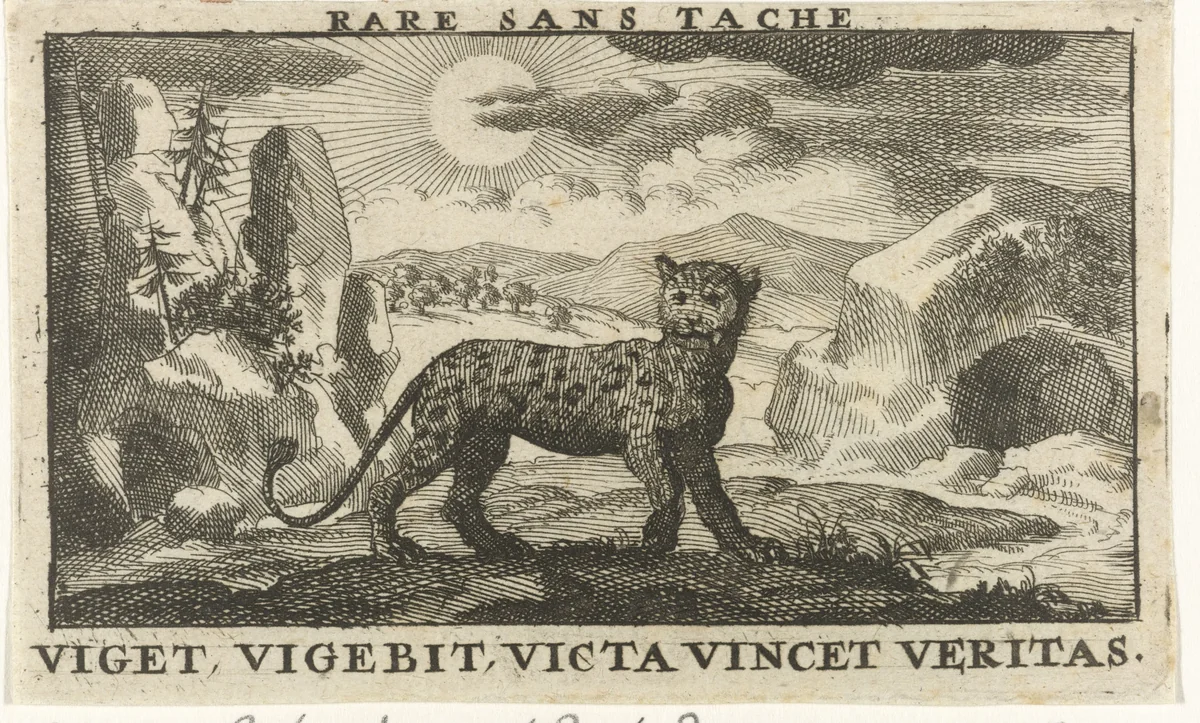 Panter in een landschap by Jan Luyken, print, 1689
