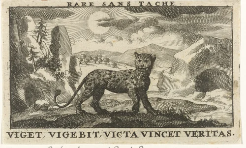 Panter in een landschap by Jan Luyken, print, 1689