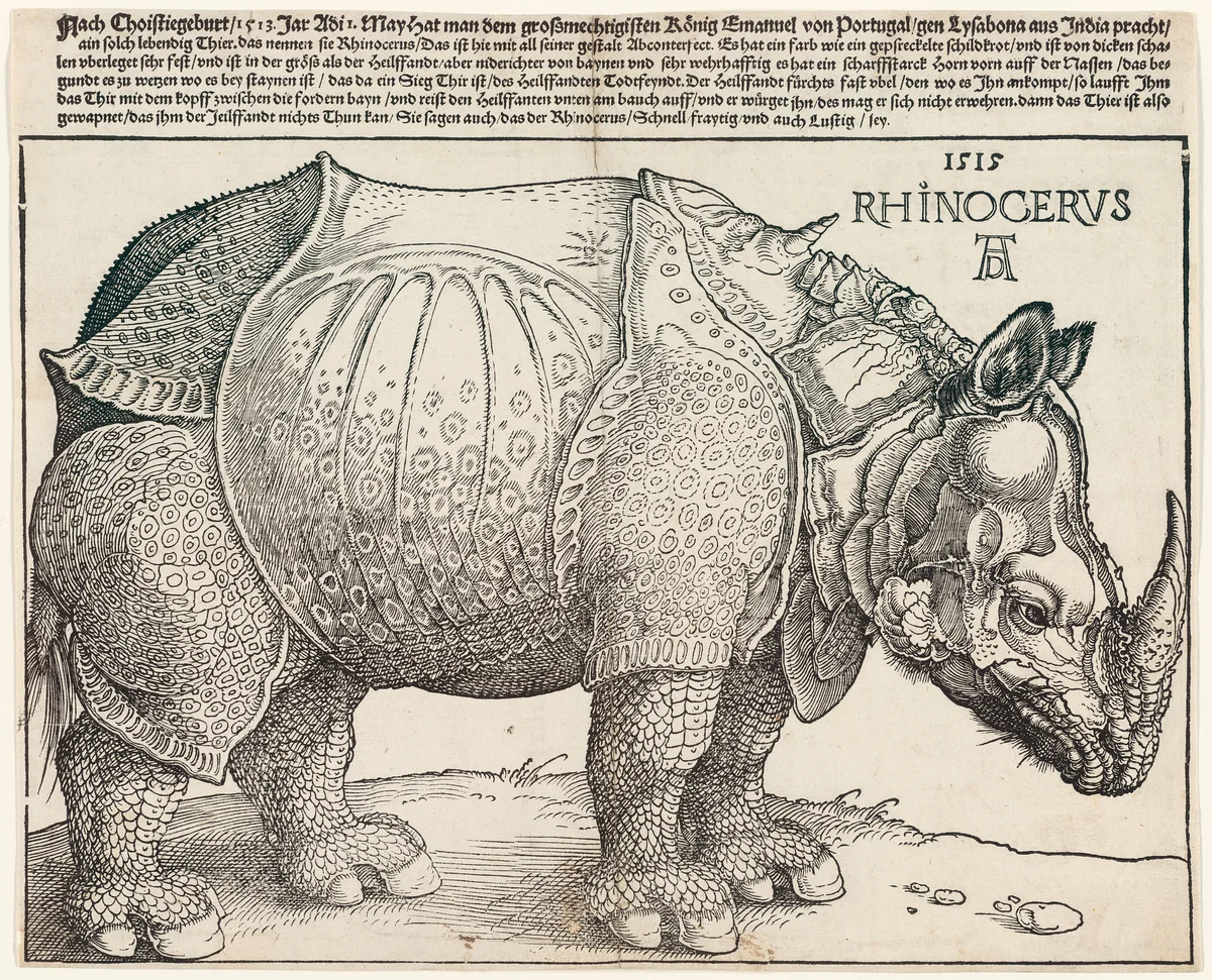 The Rhinoceros by Albrecht Dürer, print, 1515