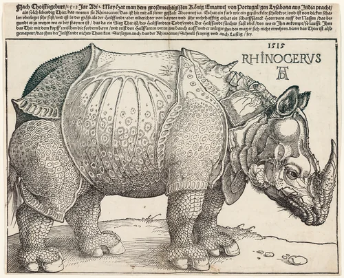 The Rhinoceros by Albrecht Dürer, print, 1515
