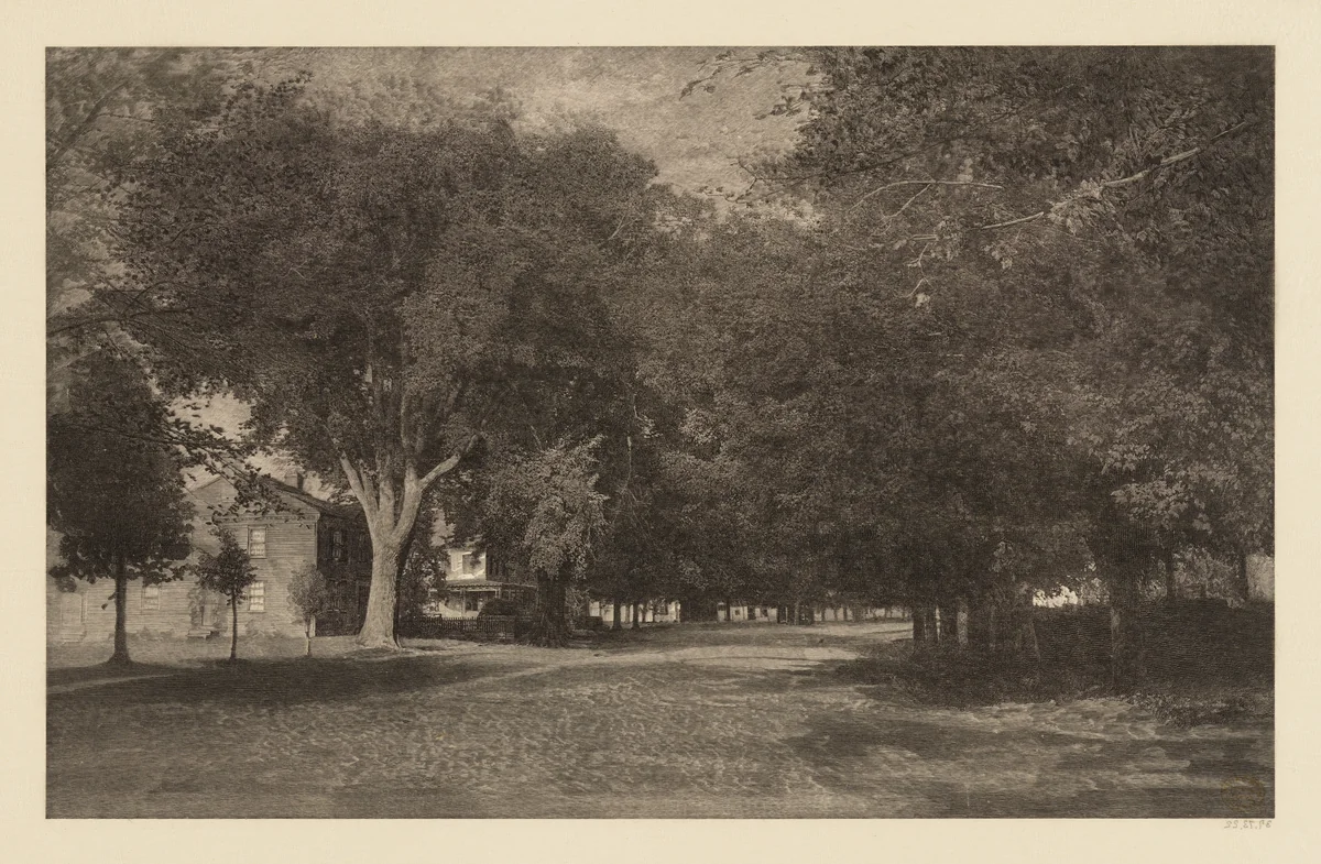 New England Elms by Elbridge Kingsley, print, 1884-1895