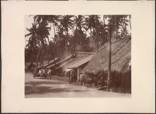 Untitled (verso) by Skeen & Co., photograph, 1880-1889