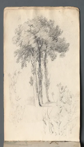 Sketchbook: Tree Study by Samuel Prout, book, 1814
