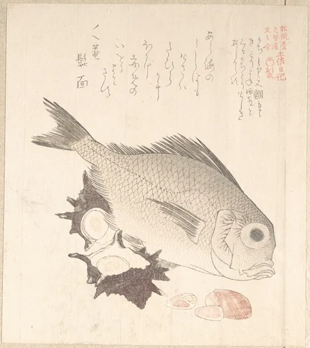 Tai Fish and Top-Shells by Kubo Shunman (窪俊満), print, 1800-1899