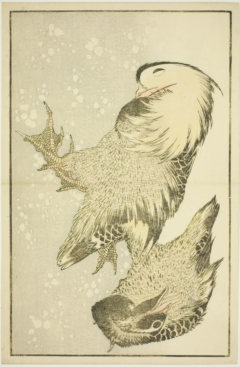 Two Waterfowl, from The Picture Book of Realistic Paintings of Hokusai (Hokusai shashin gafu) by Katsushika Hokusai (葛飾 北斎), print, 1809-1819