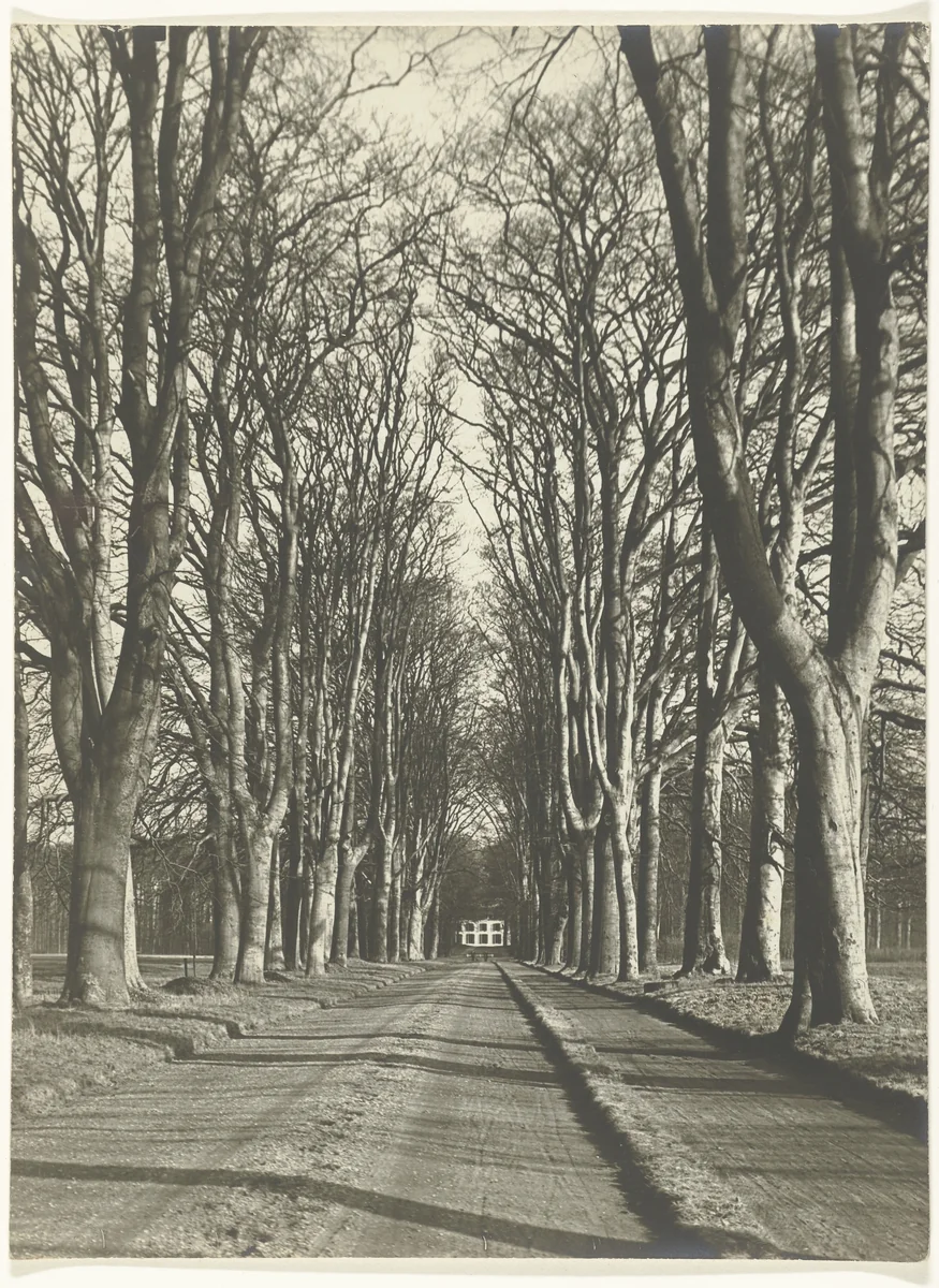 Beukenlaan in Voorst by Richard Tepe, photograph, 1900-1930