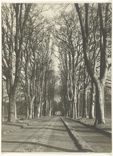 Beukenlaan in Voorst by Richard Tepe, photograph, 1900-1930