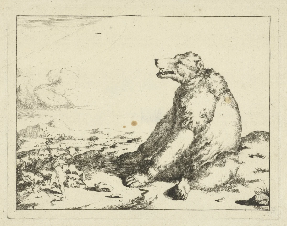 Zittende beer, en profil by Marcus de Bye, print, 1657-1677