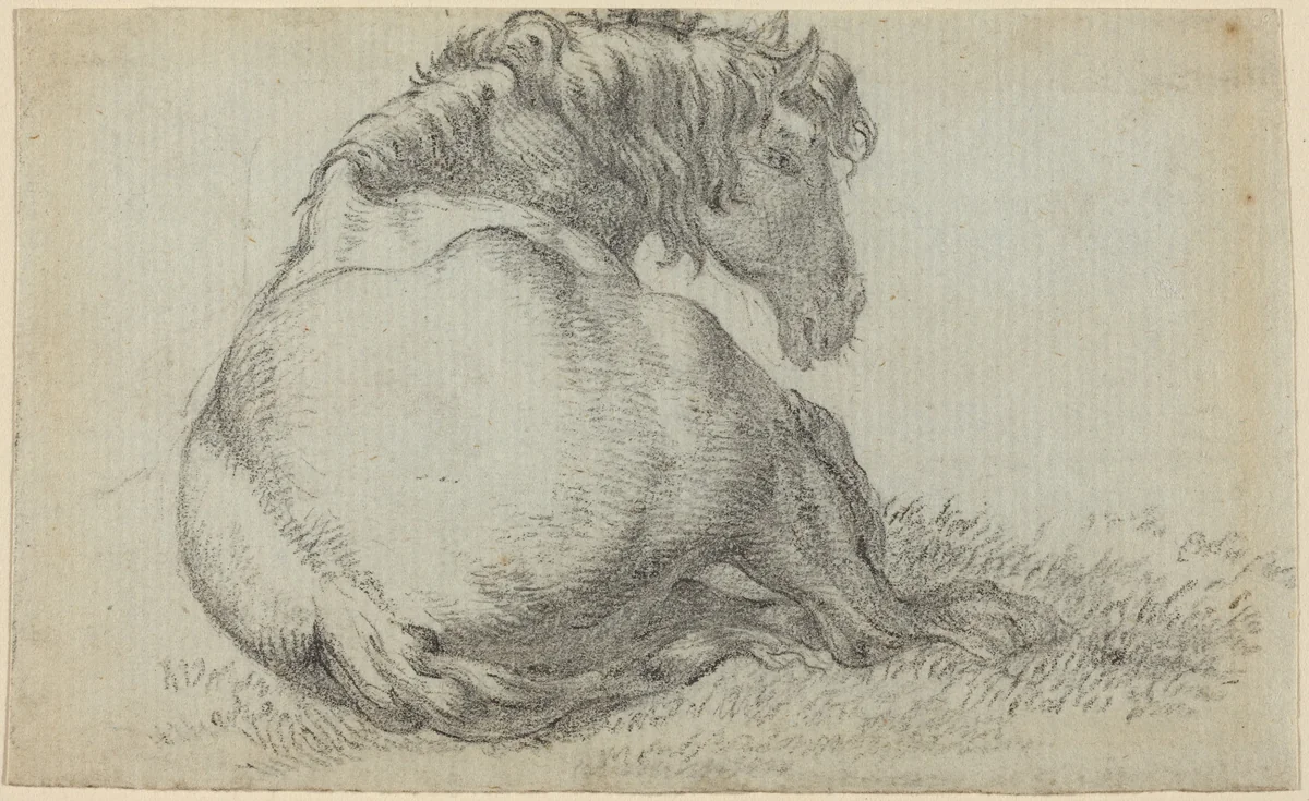 Resting Horse by Paulus Potter, drawing, 1625-1654