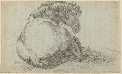 Resting Horse by Paulus Potter, drawing, 1625-1654