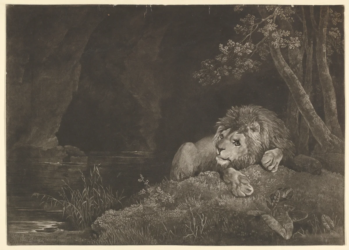 The Lyon (Recumbent Lion by a Pool) by George Townley Stubbs, print, 1776