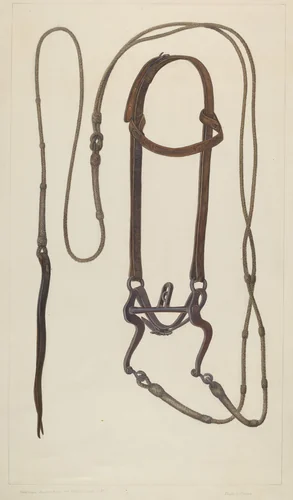 Bridle with Braided Rawhide Reins by Clyde L. Cheney, index of american design, 1937