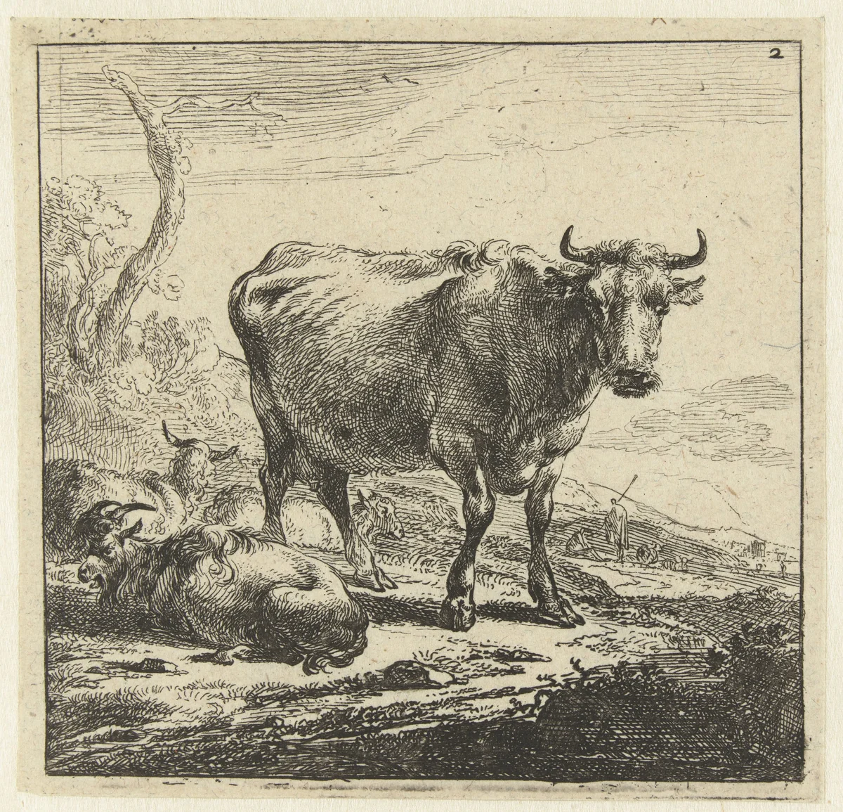 Koe by Nicolaes Pietersz Berchem, print, 1644